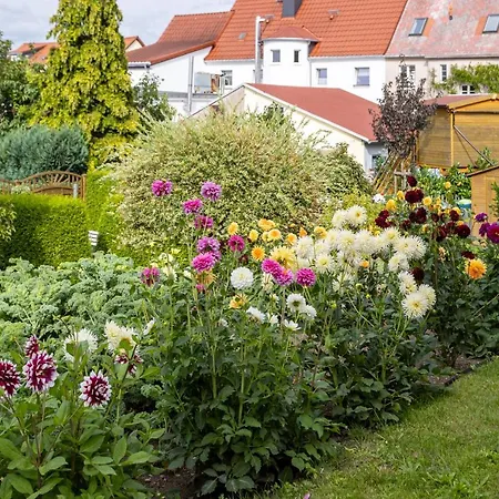 Gartenstadt Seilerberg Freiberg